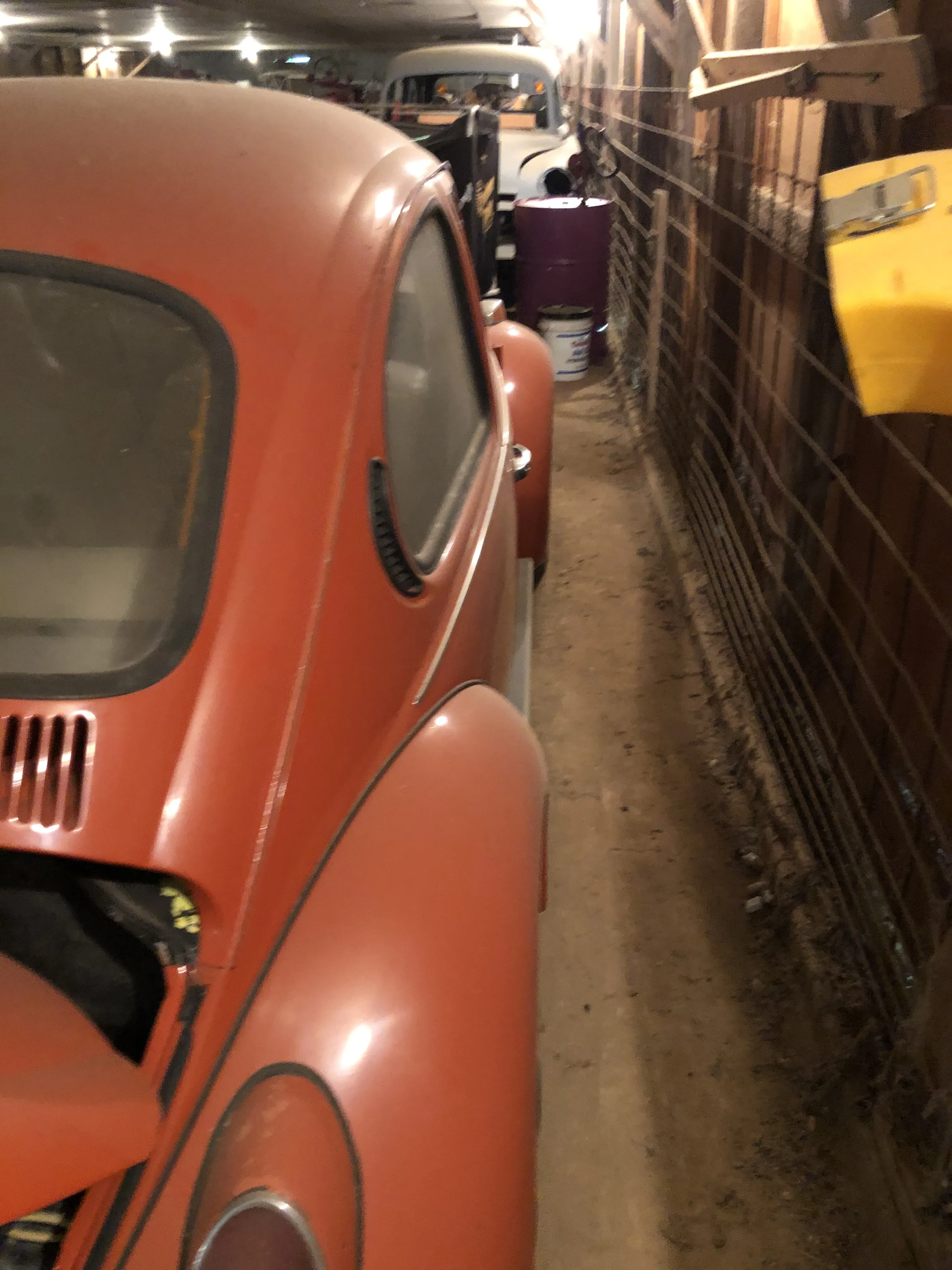 Beetle in shop