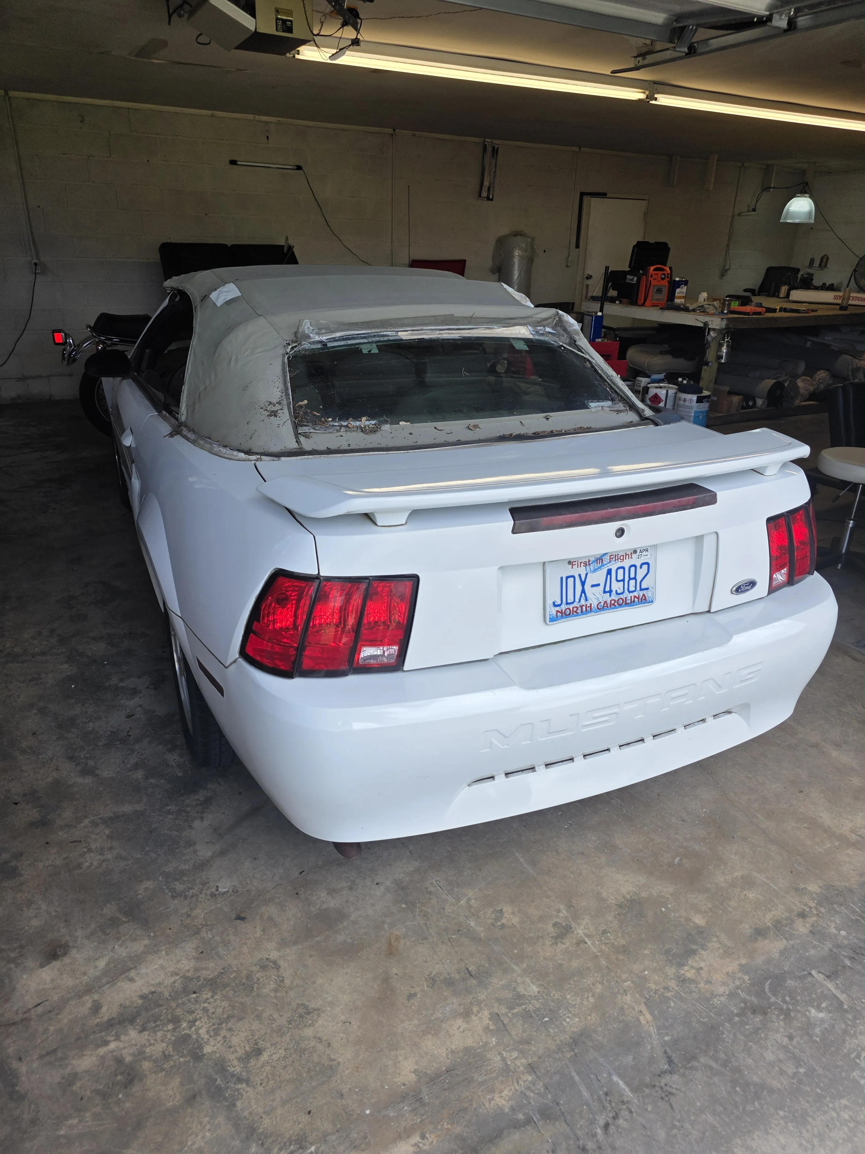White mustang rear