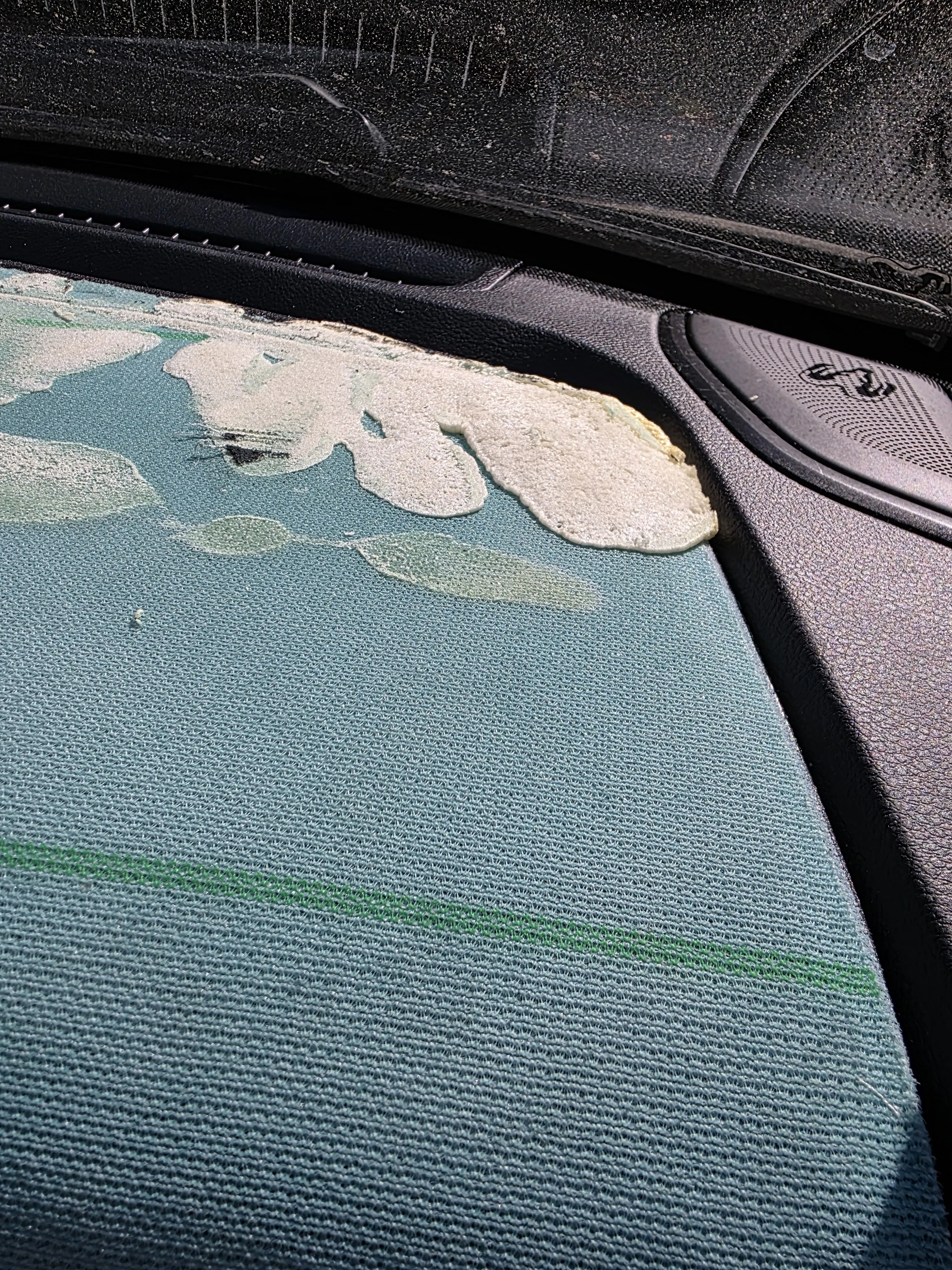 Sunroof shade — the whole panel